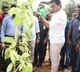 telugu.html