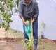 telugu.html