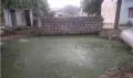 telugu.html